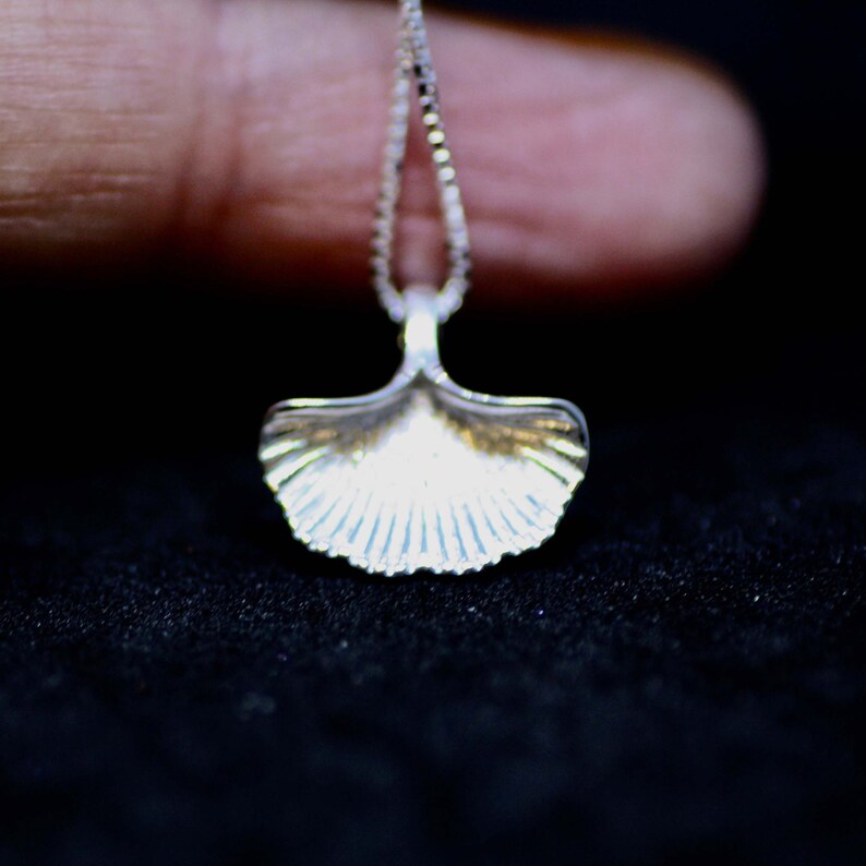 May include: A silver necklace with a seashell pendant. The pendant is detailed with ridges and has a smooth, polished finish.