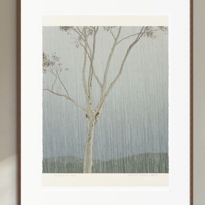 Eucalypt in Rain, 1977: reproduction print