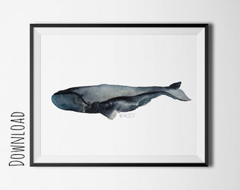 Walzeit - Nursery art, watercolor whale print, kids whale illustration, nursery animal print, scandinavian kids prints, nordic wall decor