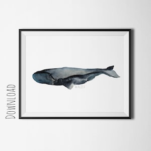 Walzeit - Nursery art, watercolor whale print, kids whale illustration, nursery animal print, scandinavian kids prints, nordic wall decor