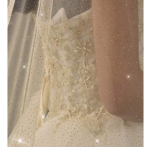 shimmer wedding veil, Gold glitter veil, Silver Sparking Veil, glitter ivory veil, scattered glitter veil, glitter bridal veil