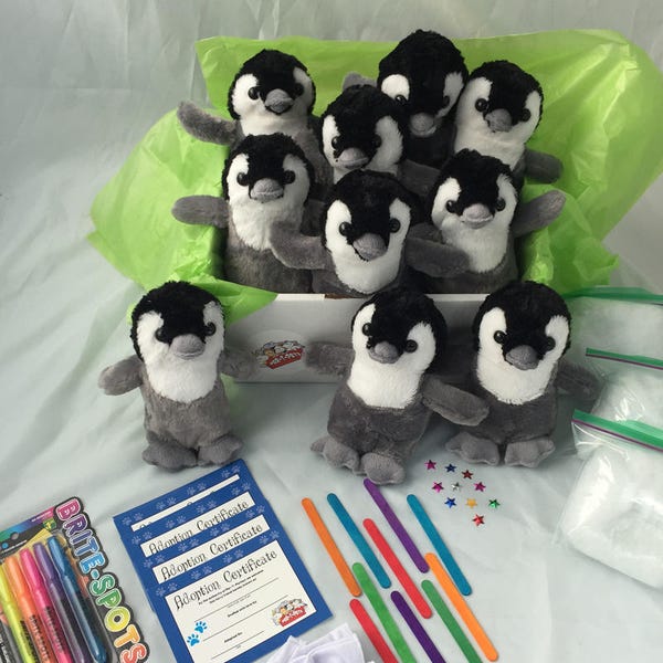 Plush Penguin with T-Shirts  10 pack - Make you own plush  Penguins - Party Pets