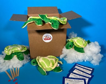 Turtle Plush 5 pack basic (no shirts) - ParTPets