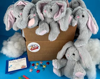 Bunny Plush  Back  Making 10-pack Basic - Par-T-Pets