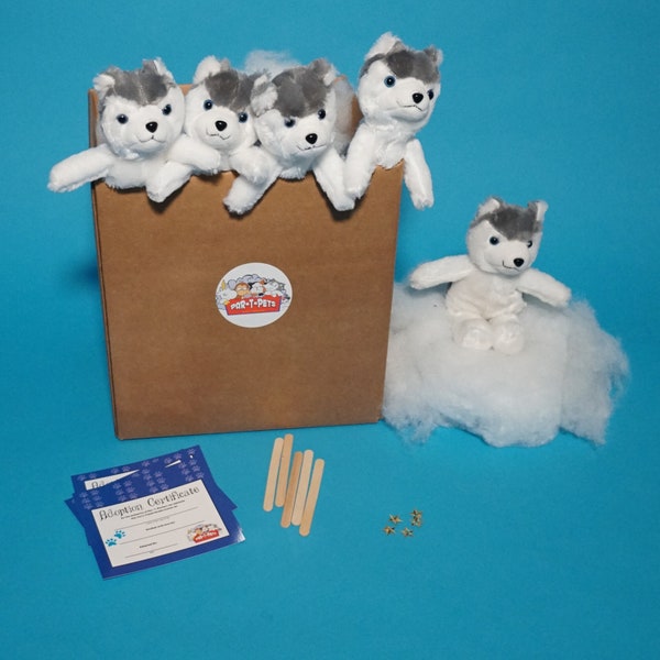 Husky Make a Teddy Kit 5 Pack (Basic) no t shirts - ParTPets