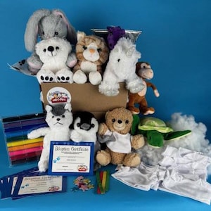 Teddy Bear making mix & match 10 pack deluxe kits with  t-shirts - see notes in listing