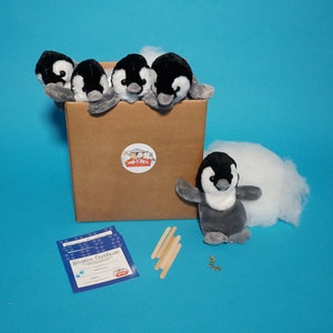 May include: A set of five stuffed penguin toys in a brown cardboard box with a "Purr-T-Pets" logo. The penguins are black and white with orange beaks. The box is on a blue surface with a white fluffy cloud and wooden sticks.