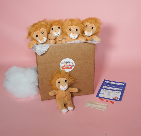teddy lion