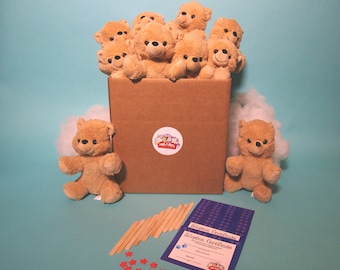 Brown Teddy Bear Making Kits 10 pack (basic) no T shirts - ParTPets