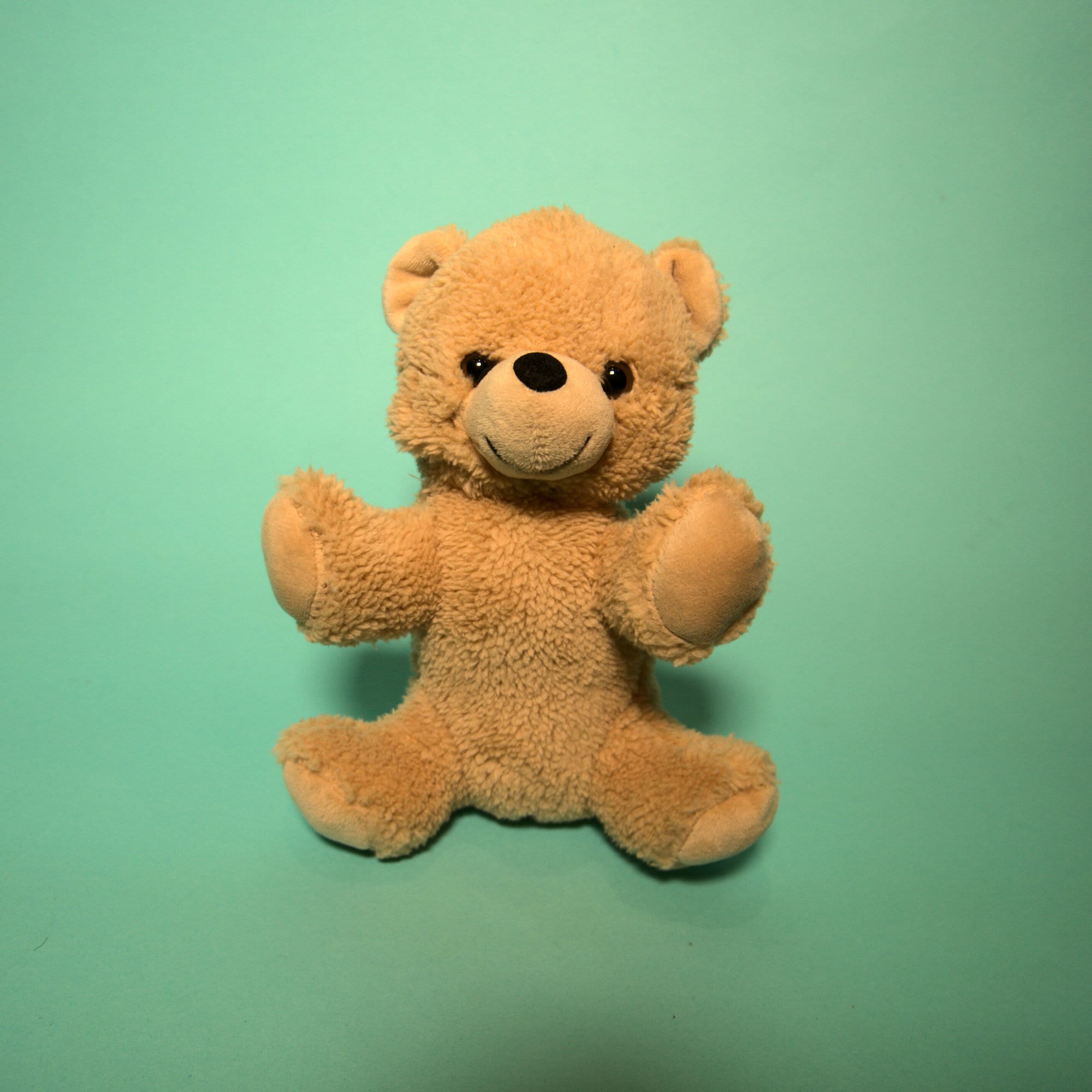Teddy Bear Making Kit: 5 Pack DIY Plush Party Favors - Etsy