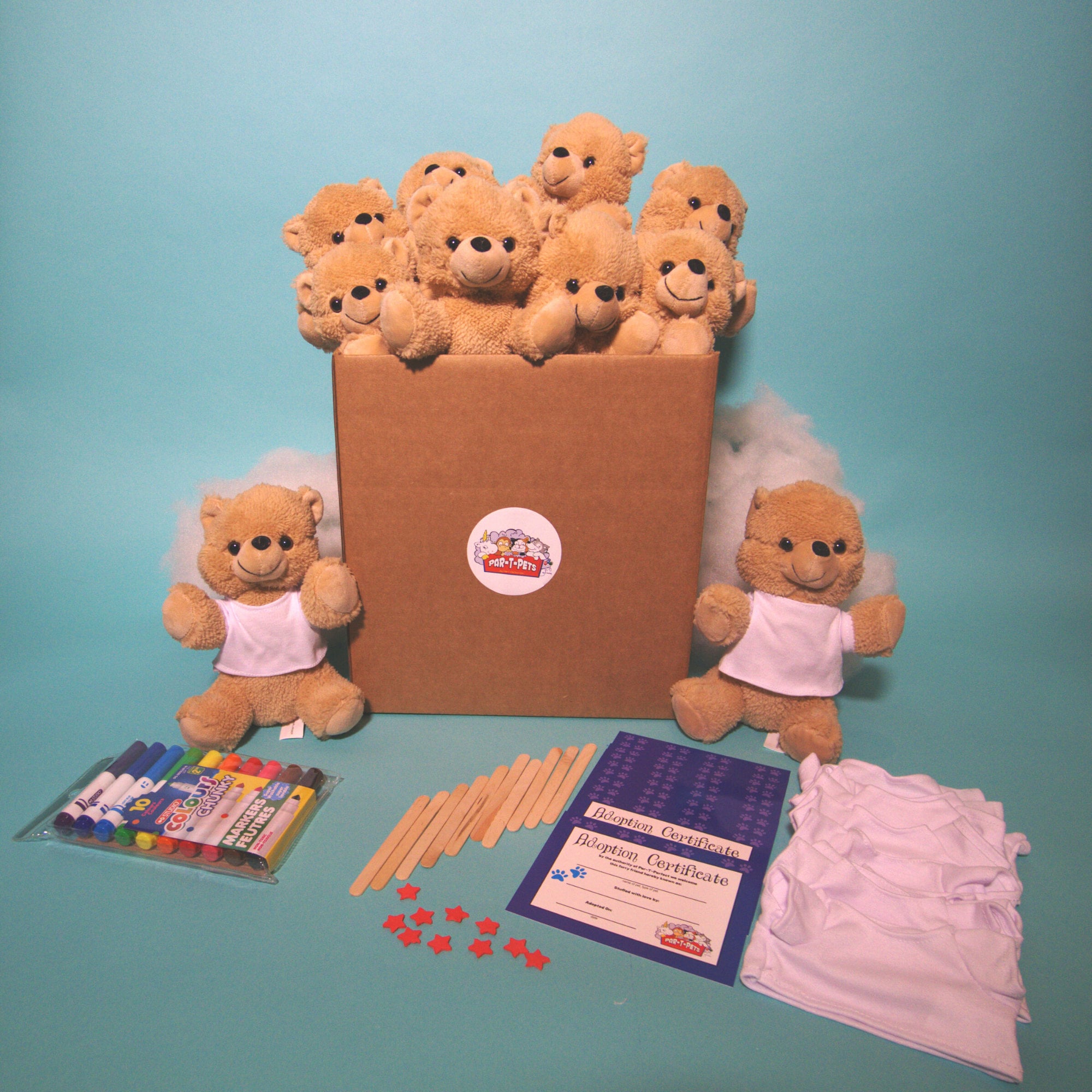 8 Inch Unstuffed Animal Kits, PACK OF 10, With Animals, Stuffing, Wishing  Heart, Birth Certificate build Your Own Bear Teddy Bear Party 
