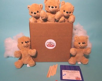 Teddy Bear Making Kit: 5 Pack DIY Plush Party Favors