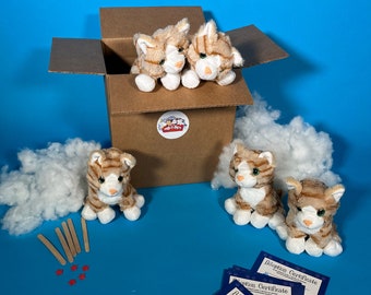 Cat Plush 5 pack basic no shirts- ParTPets