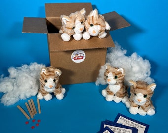 Cat Plush 5 pack basic no shirts - ParTPets