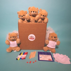 Teddy Bear 5 pack deluxe with T shirt - Teddy making kits - ParTPets