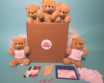 Teddy Bear 5 pack deluxe with T-shirt- Teddy making kits - ParTPets
