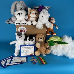 Mix & Match 10 pack  (basic) no t shirts -  Make a teddy bear party choose your own selection - ParTPets