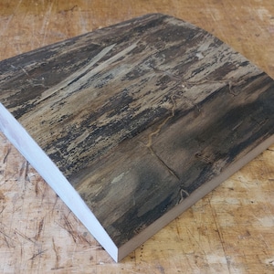 Live Edge Black Walnut Bowl Blank 12&quot; x 12&quot; x 2 1/2&quot;