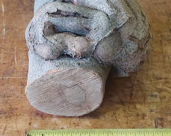 Maple Burl +/- 7" Dia.