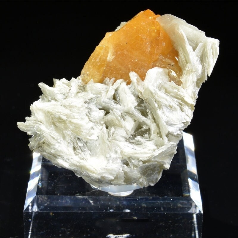 Scheelite sur Muscovite - Monts Xuebaoding, Pingwu, Province Du Sichuan, Chine