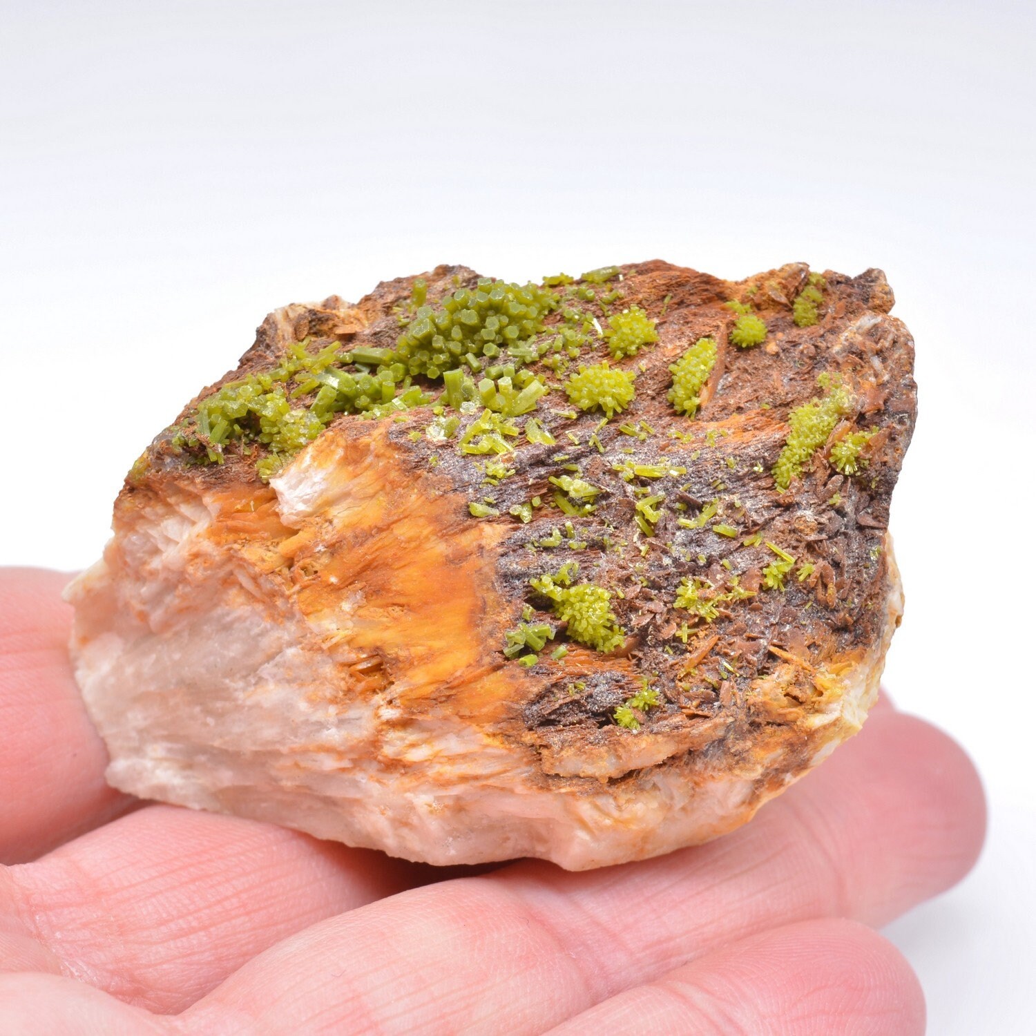 Pyromorphite sur Barytine, Ussel, Corrèze, France