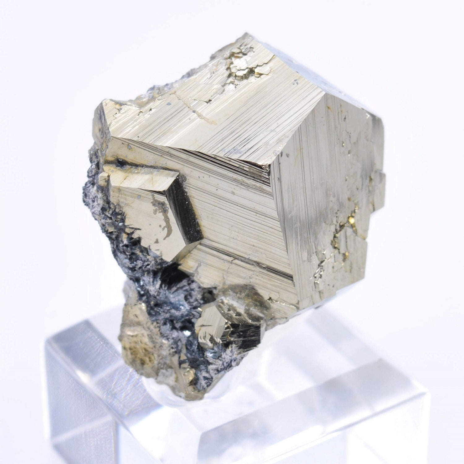 Pyrite et Hématite - Mine Valle Giove, Rio Marina, Île d'elbe, Toscane, Italie