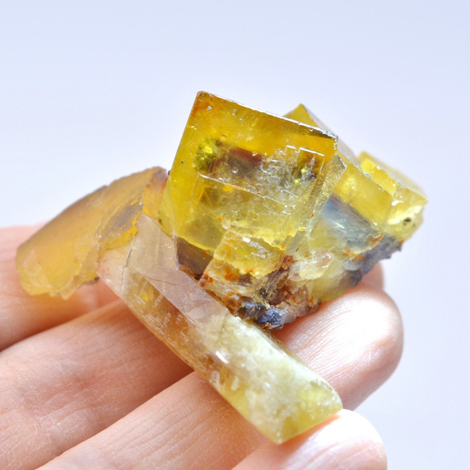 Fluorine et Barytine - Mine Bergmännisch Glück, Allemagne