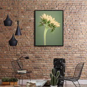 Sonnenblume, Home Decor, Fine Art Prints, Florale Kunst, Blumendrucke, Wandkunst, Blumenfotografie
