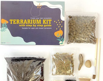 DIY Terrarium kit For Succulents Cacti Bonsai Moss Plants Step by Step Guide & Optional Tools Gift Box Small Medium Large