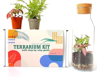 Terrarium Kit with Glass Container and Cork Lid