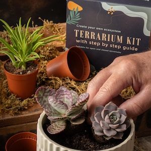 Doe-het-zelf Terrarium Kit voor Vetplanten Cactussen, Bonsai Stap-voor-stap Gids & Optionele Gereedschappen Cadeaubox Klein Medium, Groot