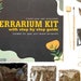 see more listings in the DIY Terrarium Kit section