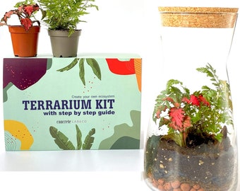 Gift Idea Terrarium Kit with Cork Lid & Optional Fittonia Carpet Moss Home Office Decor