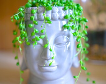 Buddha Head Planter Ceramic Pot Garden Indoor Outdoor Home Decor Flower Zen Garden