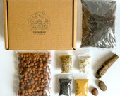 DIY Terrarium kit For Succulents Cacti Bonsai Moss Plants Step by Step Guide Optional Tools Gift Box Small Medium Large