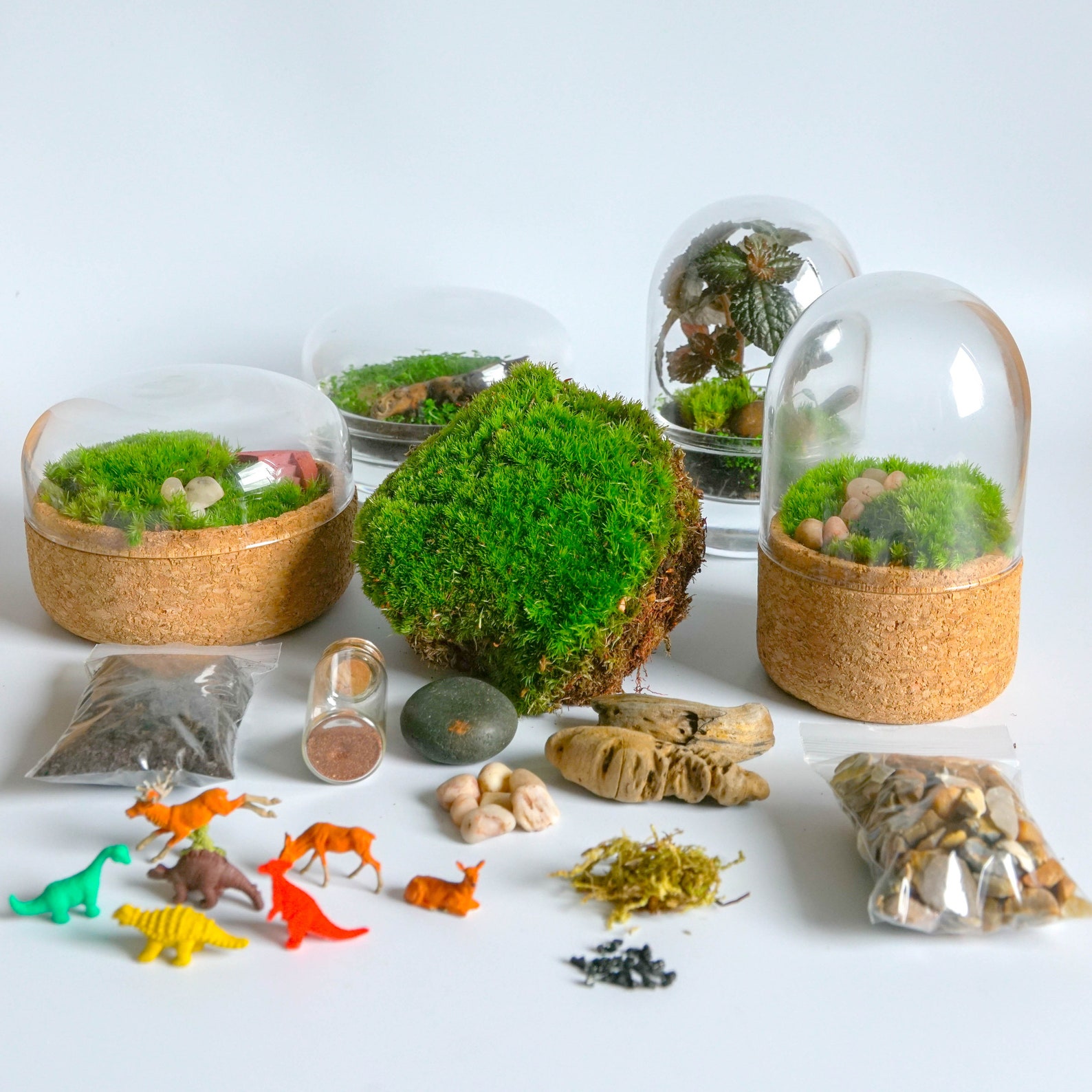 Mini Terrarium Kit Mossarium Fairy Garden DIY Mix & Match Kit Etsy