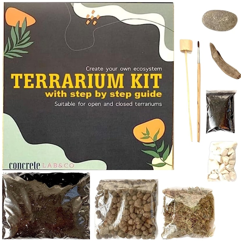 DIY Terrarium kit For Succulents Cacti Bonsai Moss Plants Step S