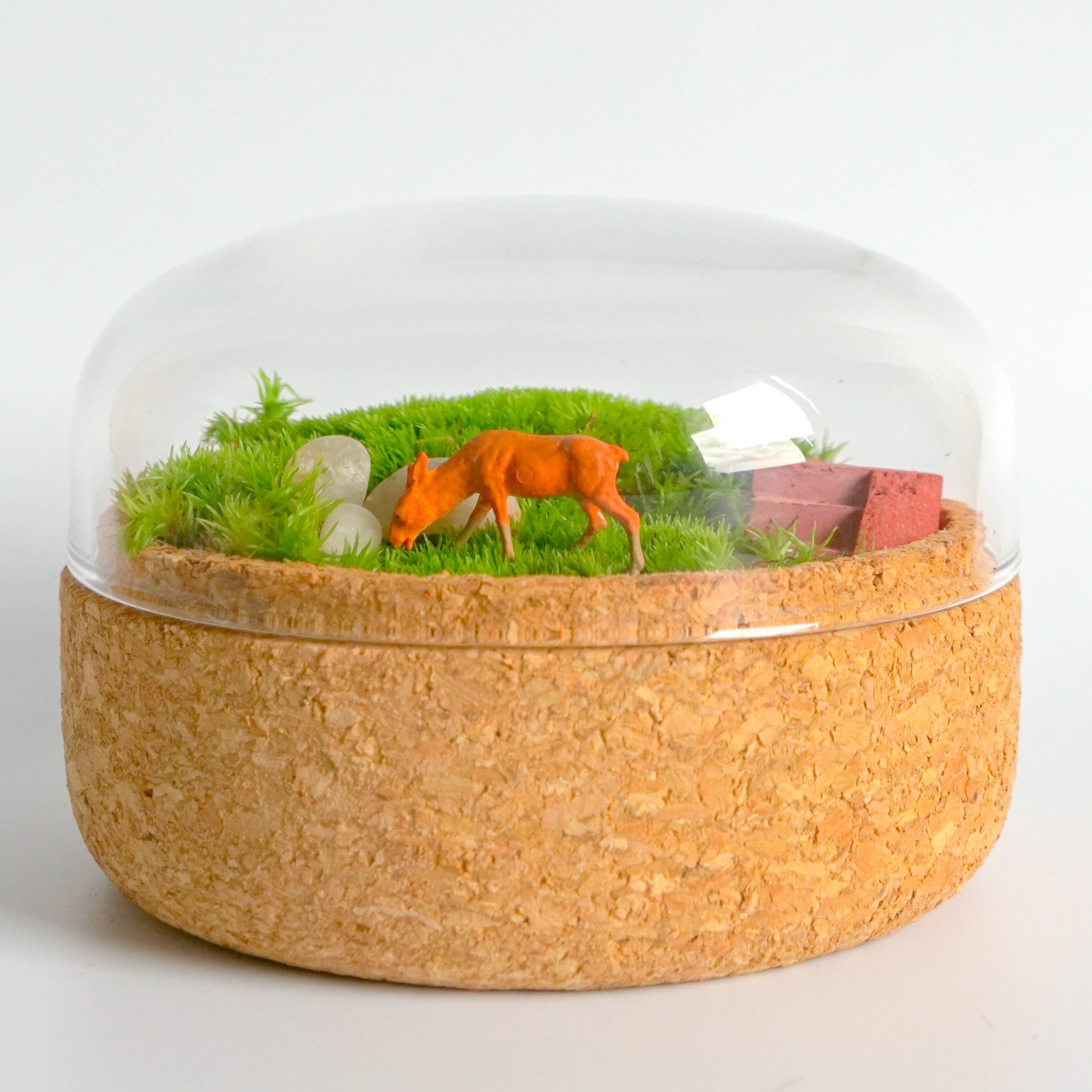 Mini Terrarium Kit Mossarium Fairy Garden DIY Mix & Match Kit Etsy