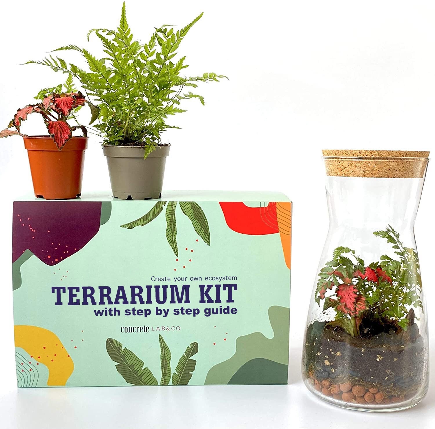 Kit DIY Terrarium Carla Large - 1 plante principale à personnaliser