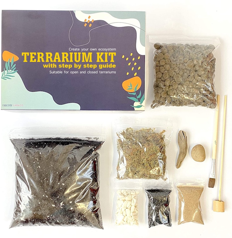 DIY Terrarium kit For Succulents Cacti Bonsai Moss Plants Step by Step Guide & Optional Tools Gift Box Small Medium Large 