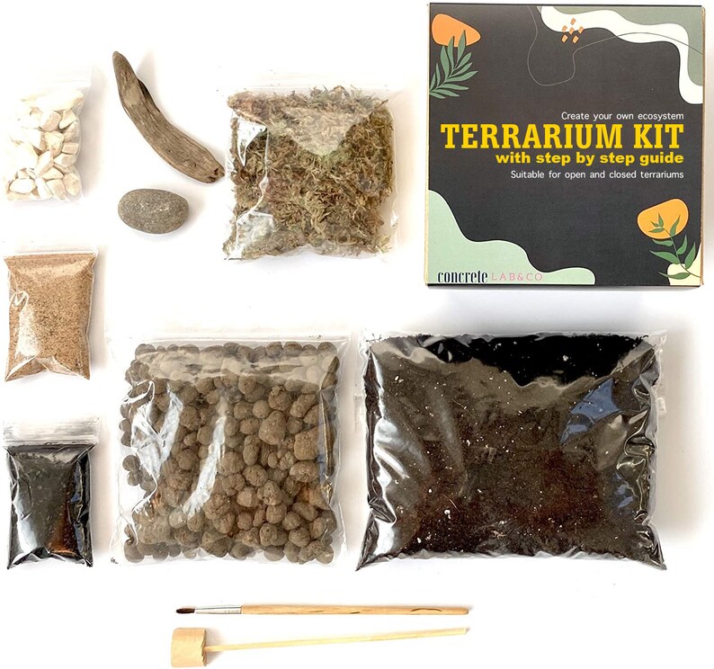 DIY Terrarium Kit for Succulents Cacti Bonsai Moss Plants Step Etsy UK