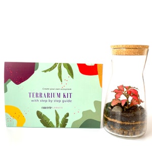 Gift Idea Terrarium Kit with Cork Lid & Optional Fittonia Carpet Moss Home Office Decor Kit Only (no plants)