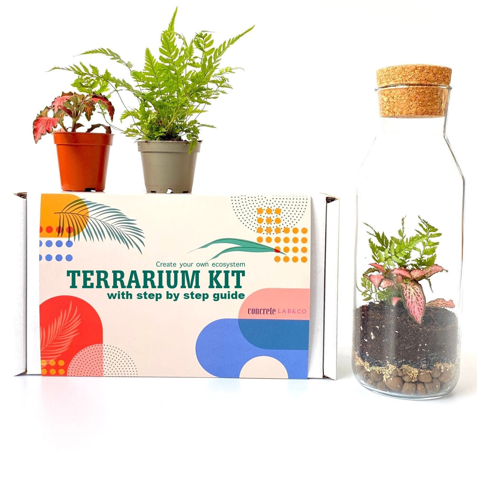 Terrarium DIY Kit- Sam Coffea with Light - Bottle garden - ↑ 30 cm