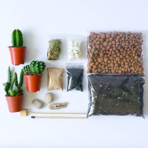 DIY Terrarium kit For Succulents Cacti Bonsai Moss Plants Step image 8