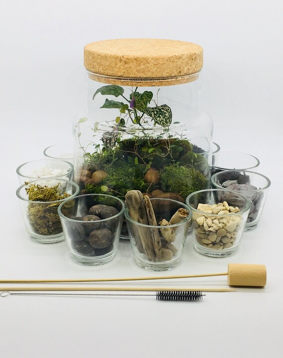 Cork Lid Terrarium kit with Optional Plants Home Bedroom Etsy