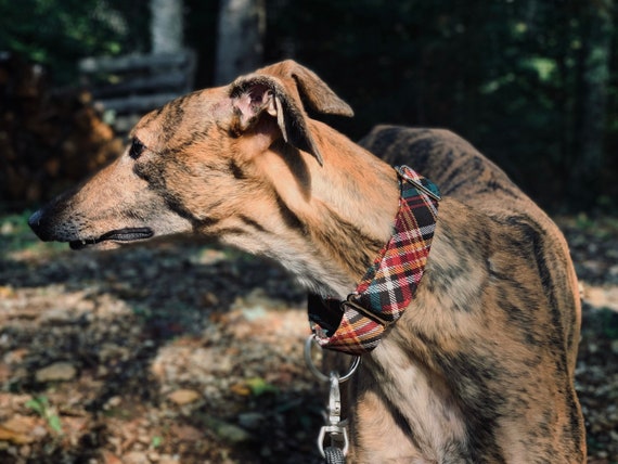 Etsy greyhound cheap martingale collars