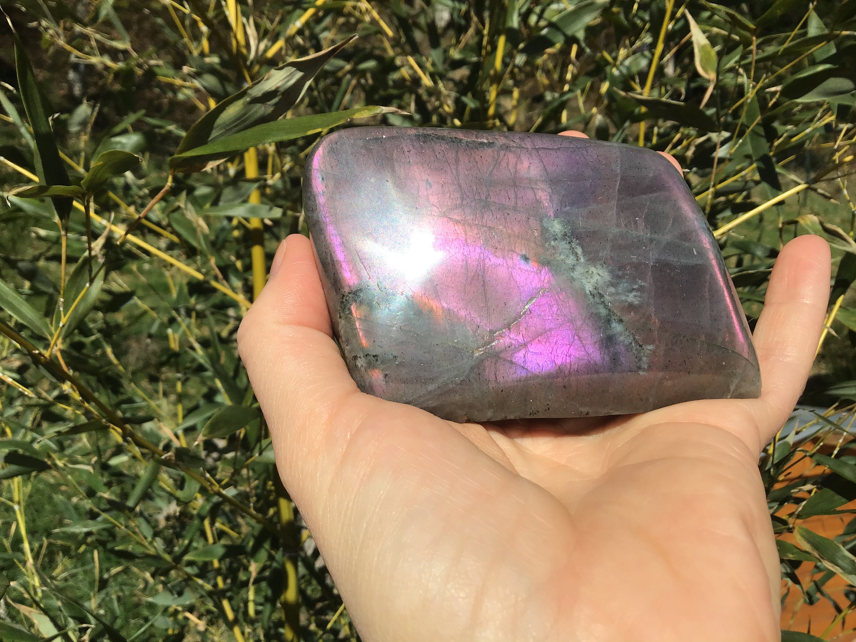 Forme Libre Labradorite Rose