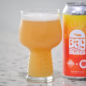 Best Blank Glass For Craft Beer & Perfect Gift For Beer Lover