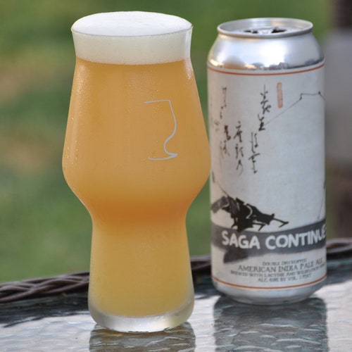 Best IPA Glasses Best Craft Beer Glasses Best Glassware Etsy