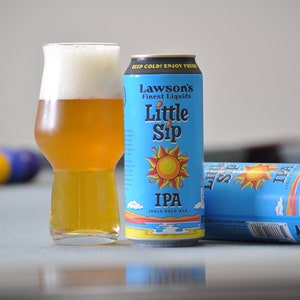 Best Blank Glassware For Craft Beer & Great Gift For IPA Lovers